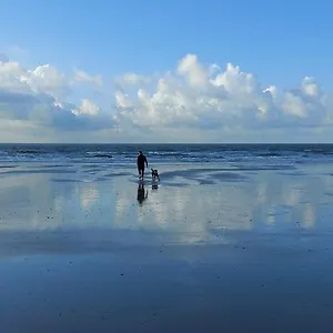 Studio Portique , Middelkerke België
